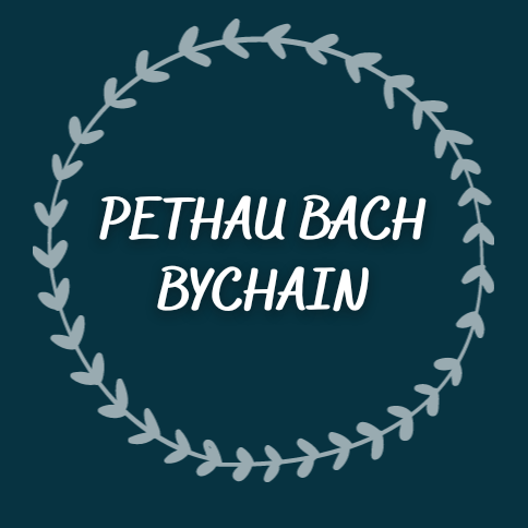 Pethau Bach Bychain